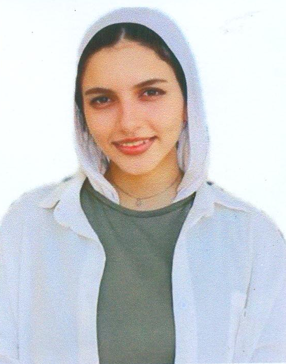 Alaa Elsayed Mohammed Ahmed Abdelbar